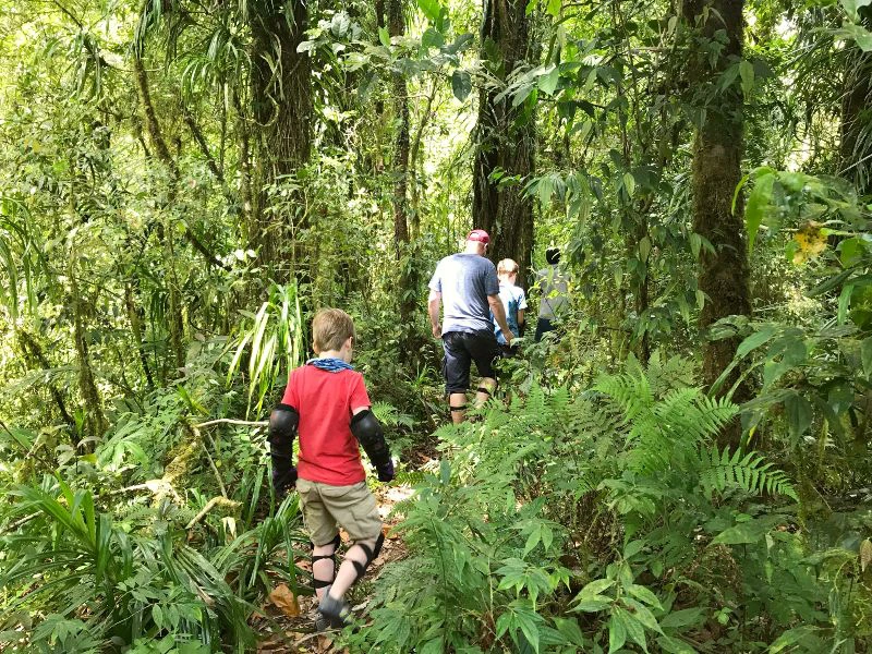 Jungle wandeling Bali Munduk