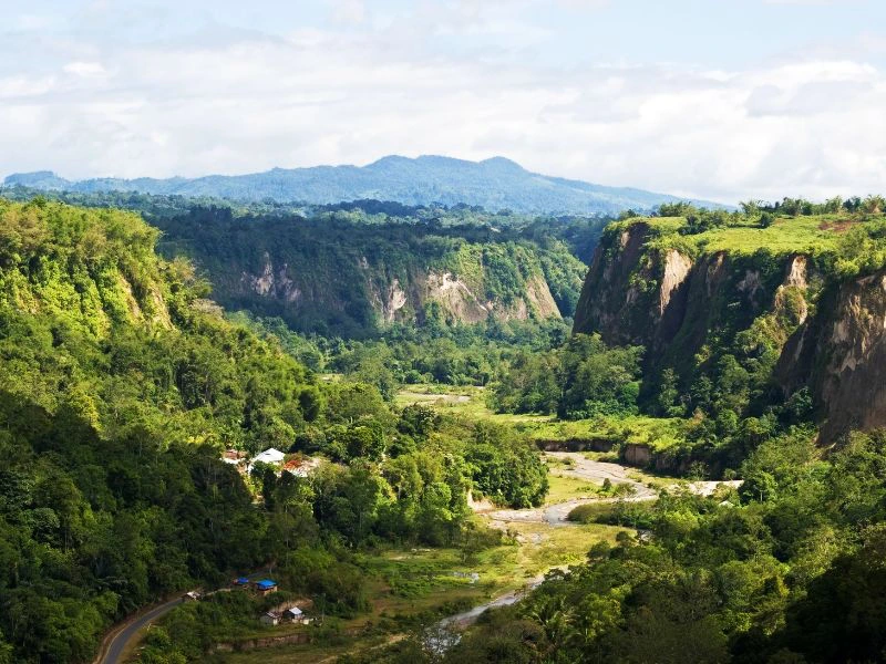 Groene vallei met steile rotswanden, rivier die door het landschap slingert en beboste heuvels op de achtergrond.