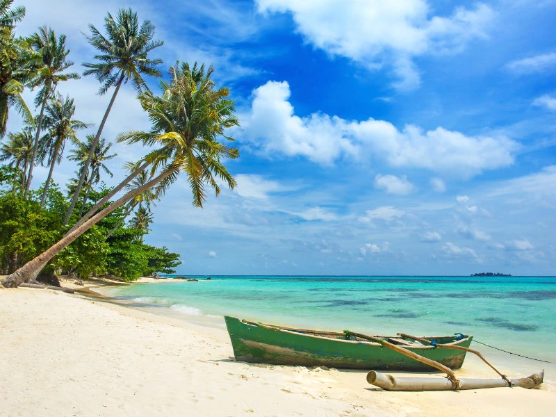Kleurrijke traditionele vissersboten op het strand van Karimunjawa, omringd door palmbomen en een blauwe lucht.