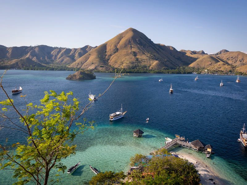 Komodo eilanden bezoeken met Riksja Travel