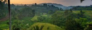 Uitzicht op groene rijstvelden en heuvels bij zonsopkomst op Bali, omringd door tropische bomen en bergen in de verte.