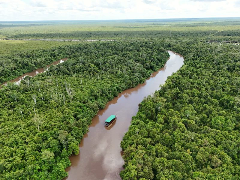 Kalimantan Palangkaraya cruise