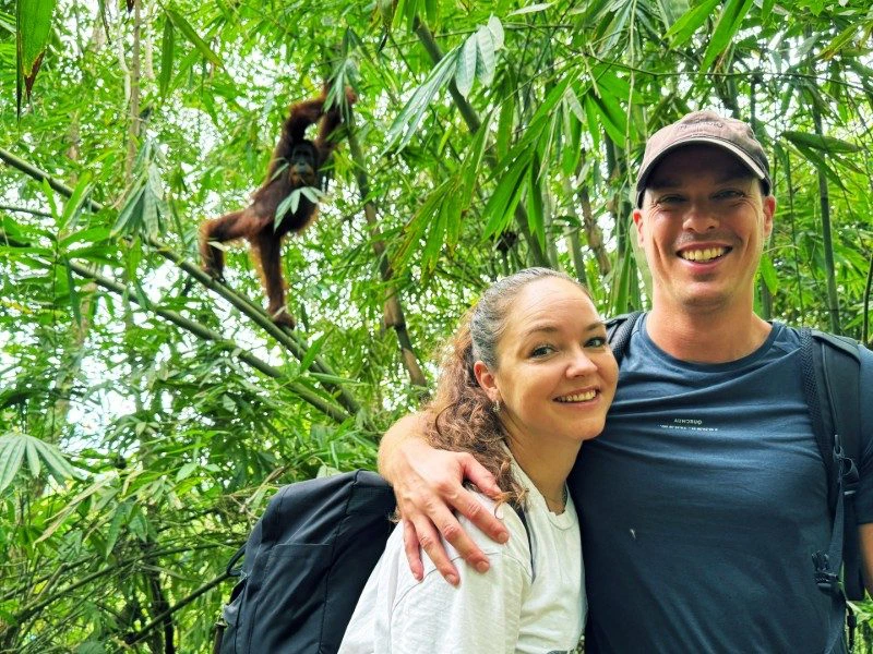 Bukit Lawang Orang Oetans Sumatra