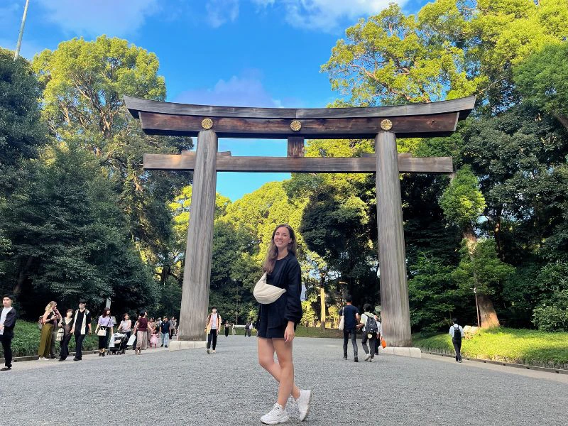 Honshu Shikoku rondreis - Japan