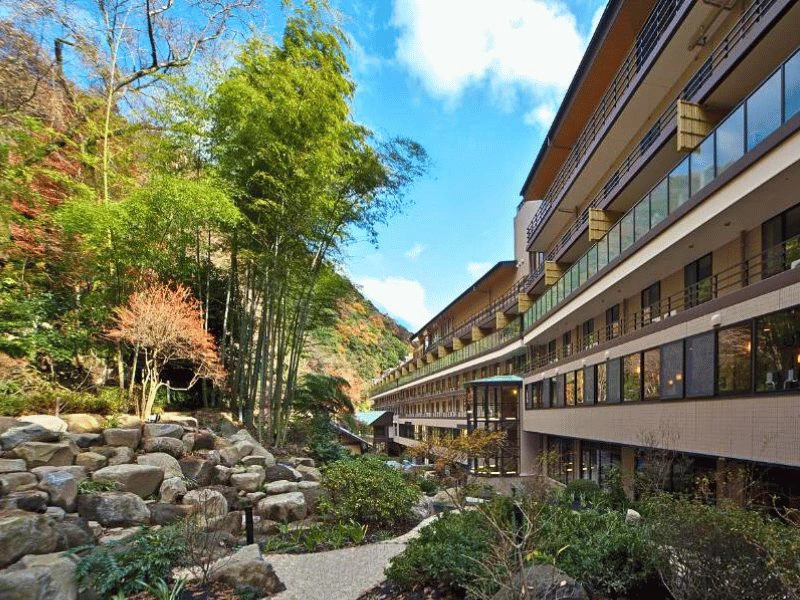 Ryokan in Hakone