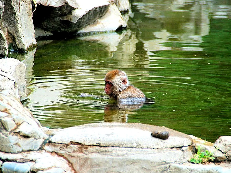 Rondreis Japan Matsumoto