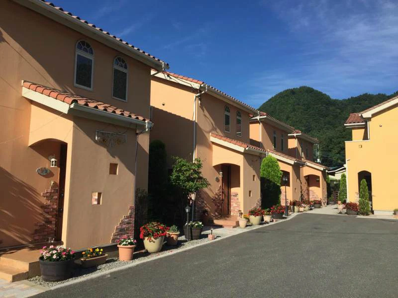 Familiereis Mount Fuji