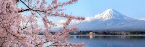 Japan Mount Fuji - kersenbloesem