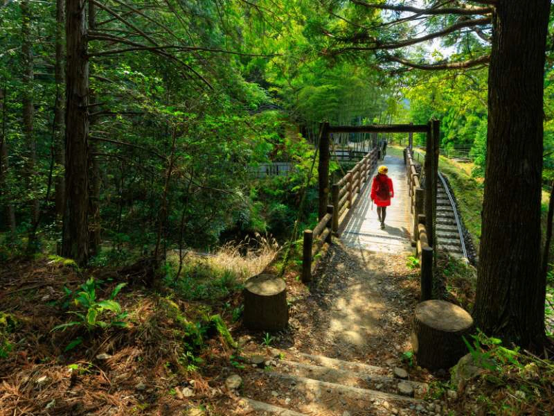 Rondreis Pelgrimstocht Kumano Kodo Japan