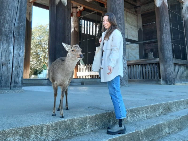 Nara japan