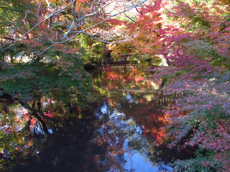 Japan-Yunohira-Yufuin