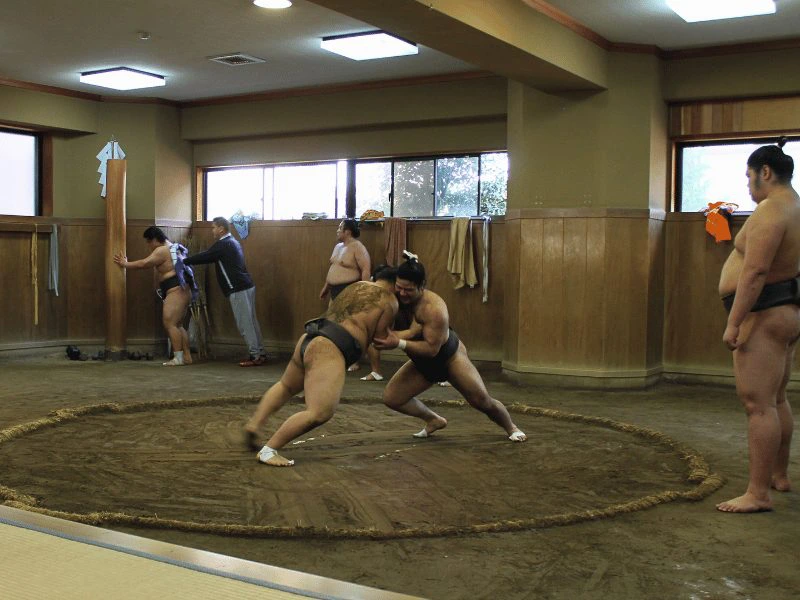 Sumo vechten in Japan