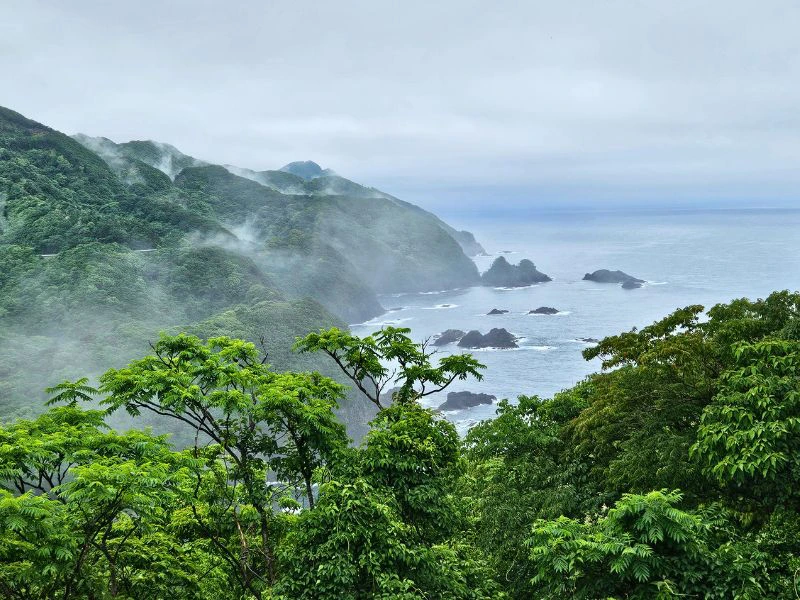 Roadtrip langs de Anan-kust van Shikoku