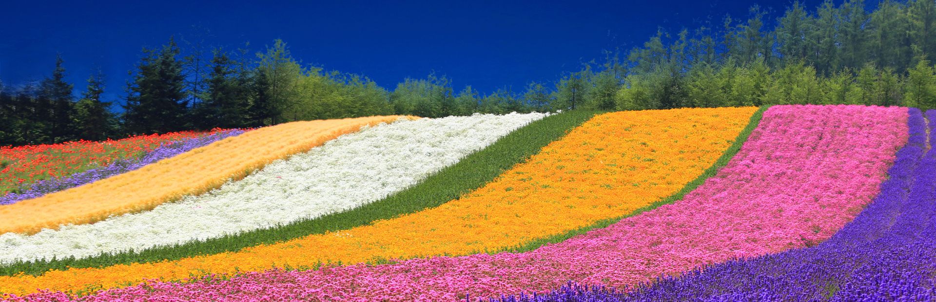 Japan - Hokkaido