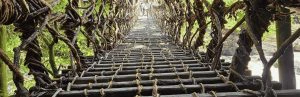 Brug in de Iya-vallei, Japan