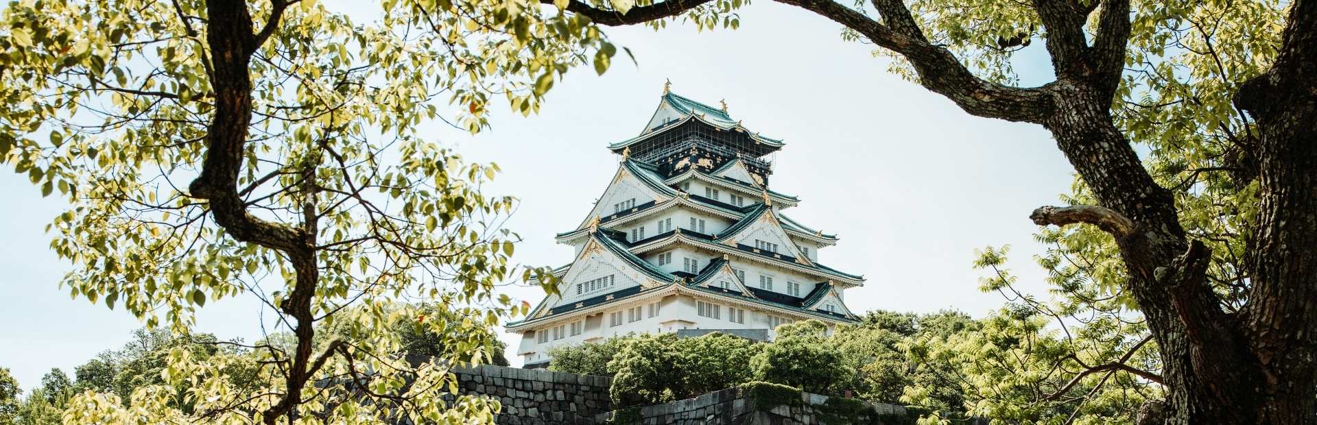 Uitzicht op een kasteel in Osaka met bomen