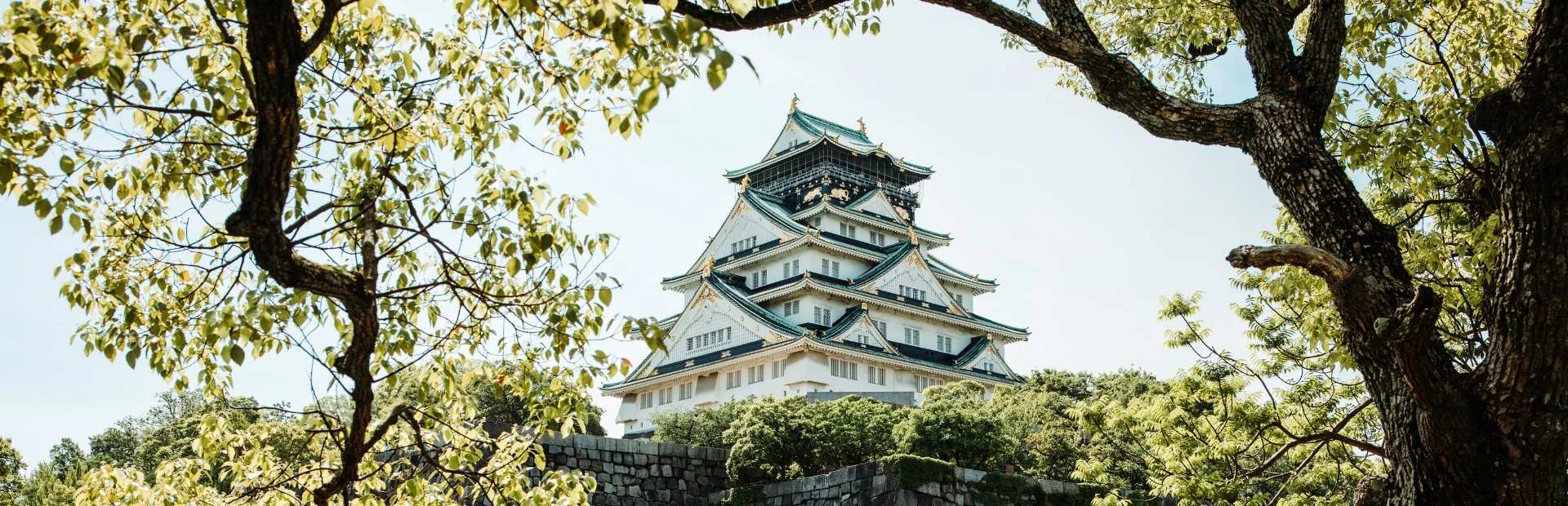 Uitzicht op een kasteel in Osaka met bomen