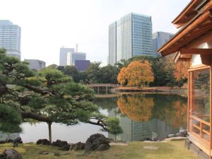 Uitzicht over water en herfstkleurige bomen in Tokyo