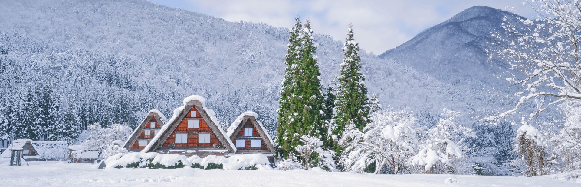 Huizen in een sneeuwlandschap