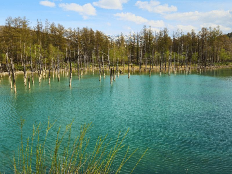 blauwe meer in furano
