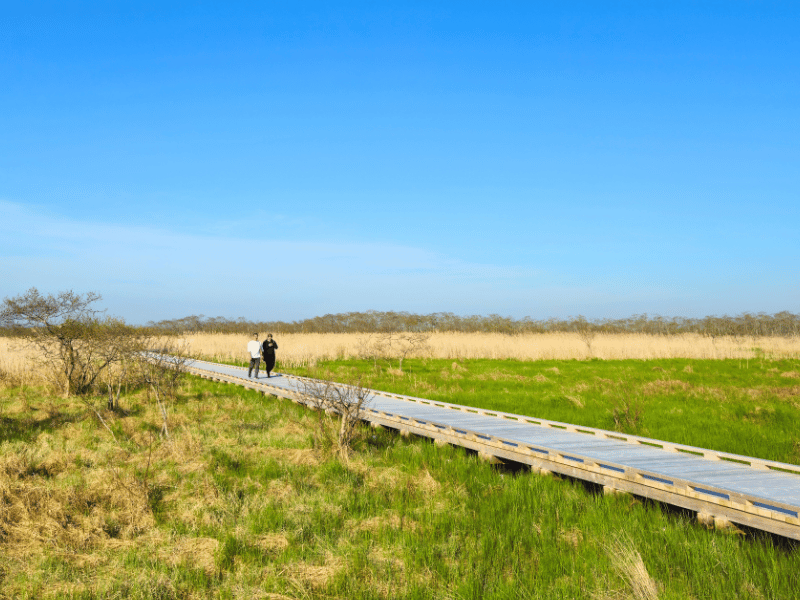 wandelen door kushiro National park