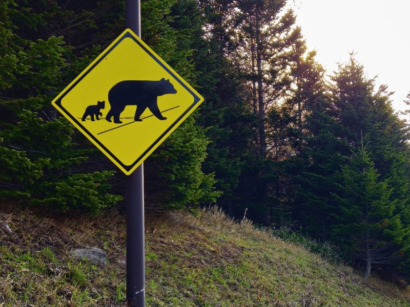beren bord langs weg Hokkaido