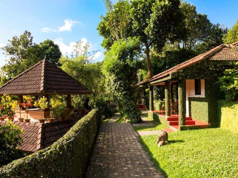 India Thekkady - hotel