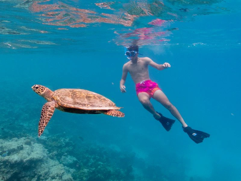 Snorkelen tijdens je Malediven rondreis