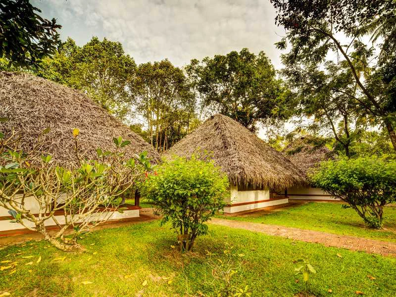 India Marari - hotel