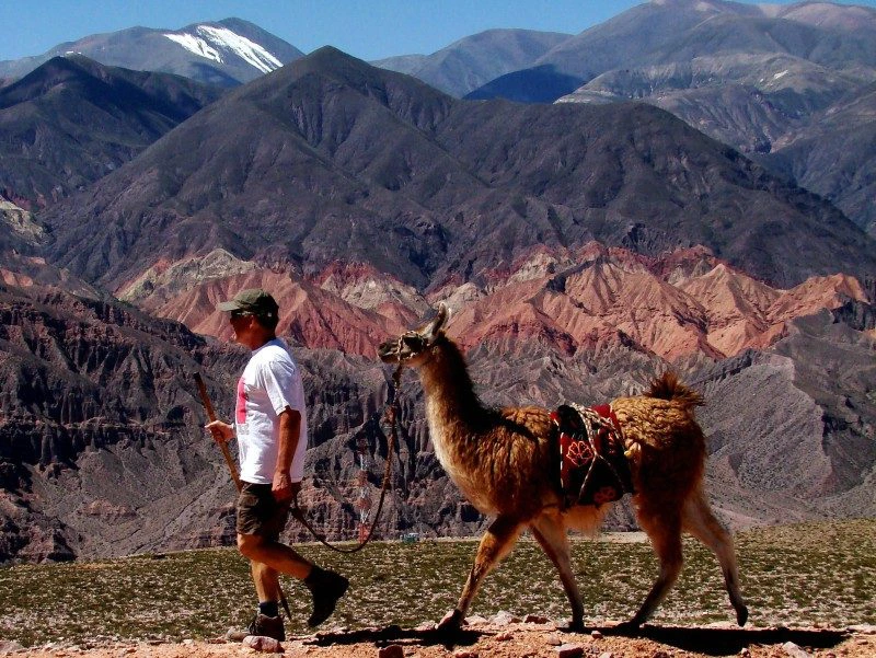 lama wandeling tilcara