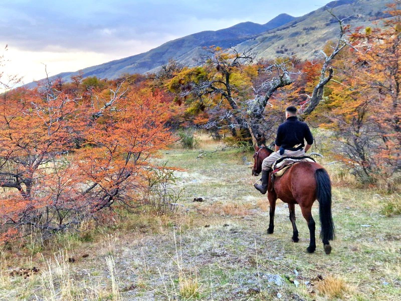 argentinie patagonia estancia