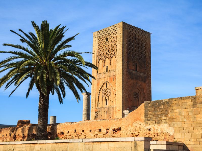 gebouw met palmboom in Rabat