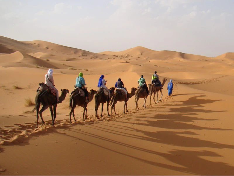 Kamelentocht door woestijn Marokko