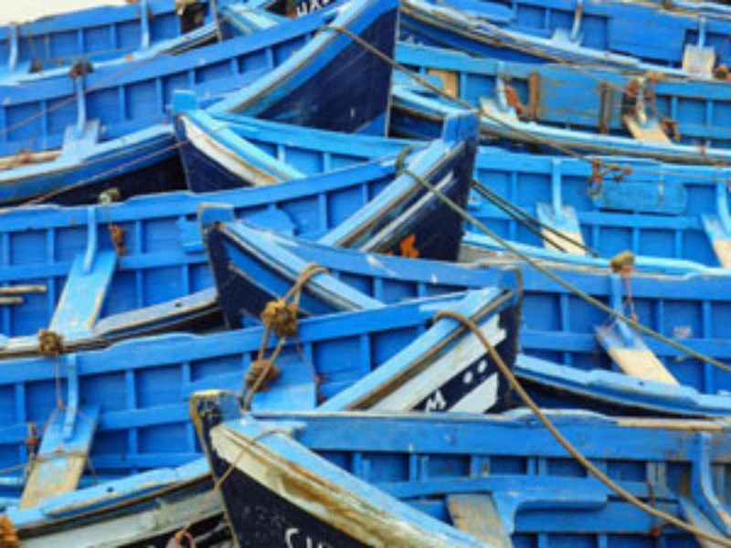 Bootjes in Essaouira - Marokko