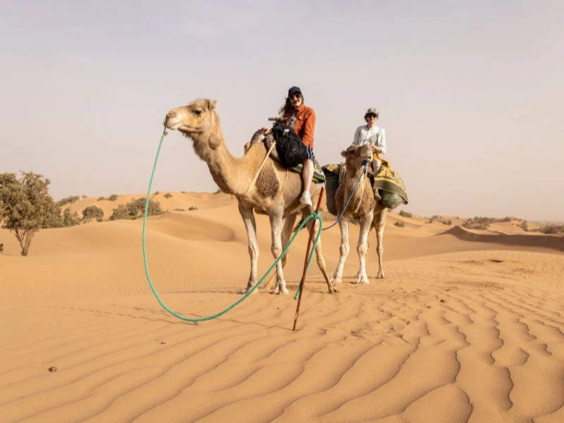 Twee mensen op kamelen in de woestijn van Marokko