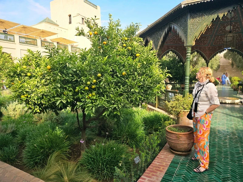 Morocco - Marrakech - Garden