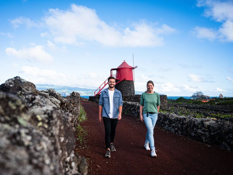 Portugal Azores Pico Windmill 2