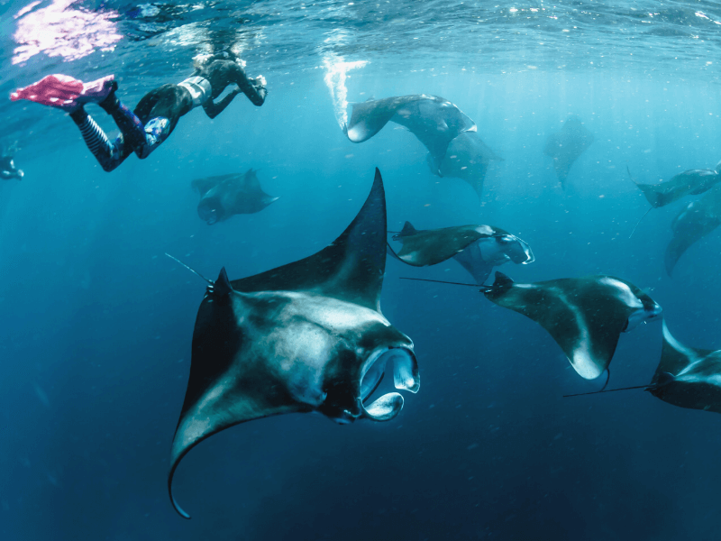 duikplekken op de azoren