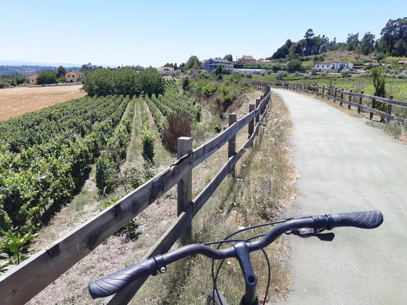 Uitzicht vanaf een fiets op een pad langs wijngaarden en velden met dorpjes in de verte.