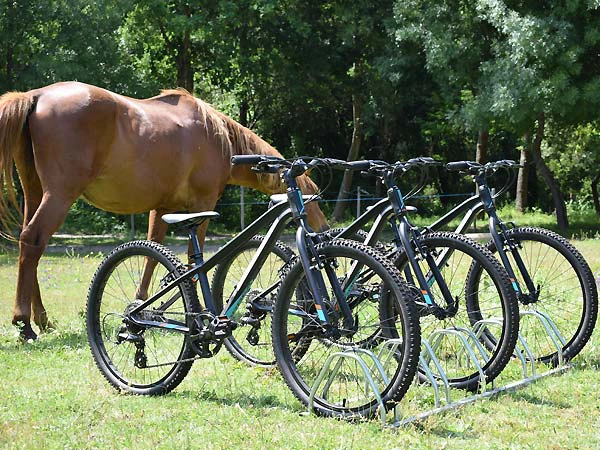 fietsen viseu portugal familie