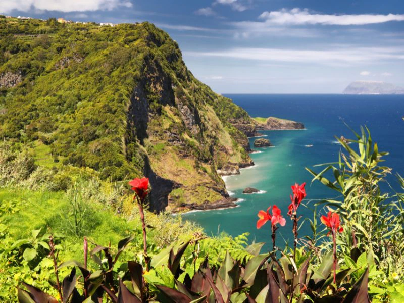 flores azores 2