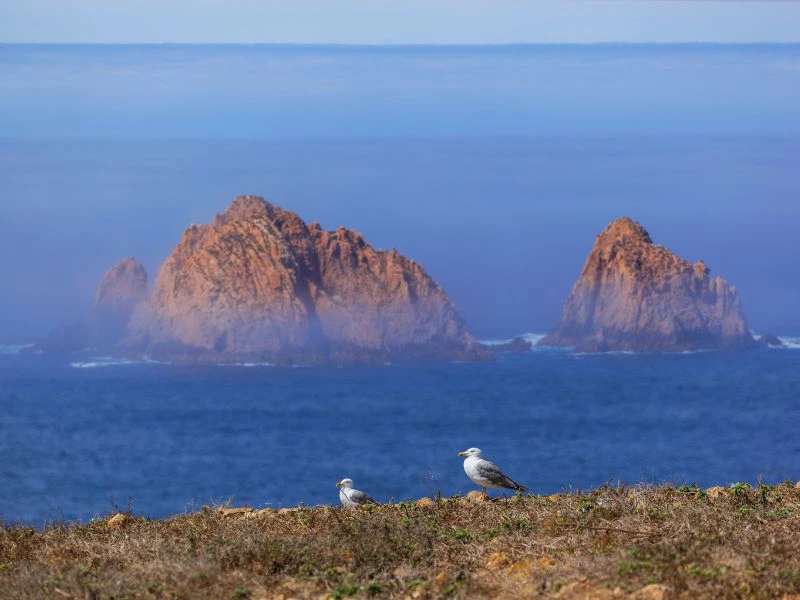 nazare berlenga portugal (2)