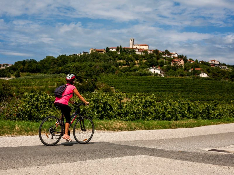Fietsen door de wijnvelden van Brda | Riksja Travel Slovenië