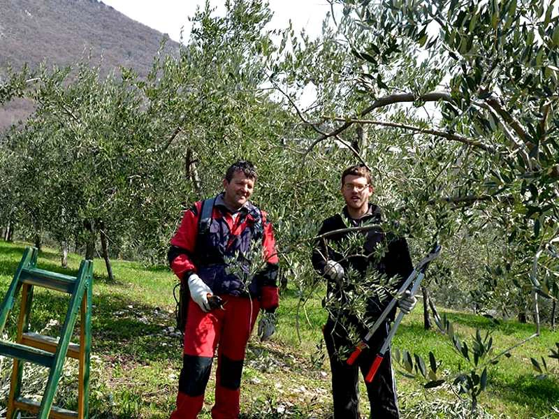 Olijfolieproeverij | Riksja Travel Slovenië