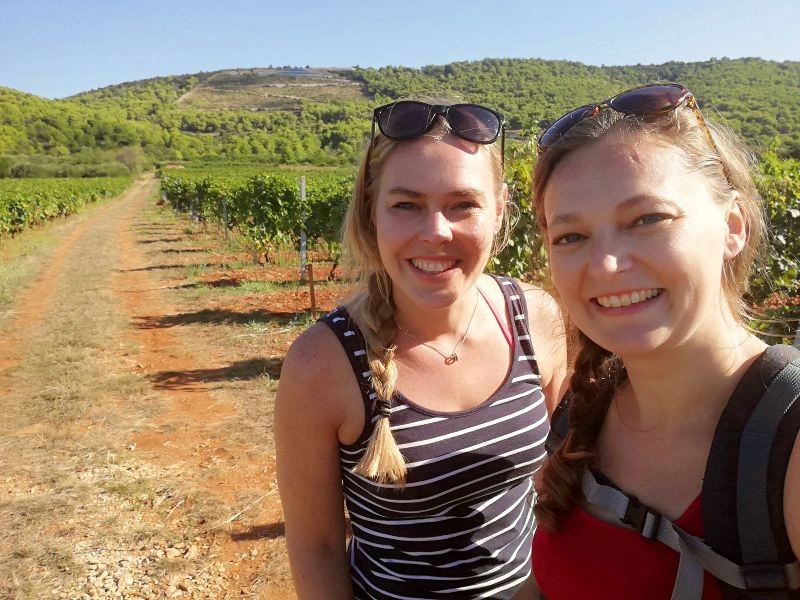 Wijngaarden Istrië | Riksja Travel Kroatië