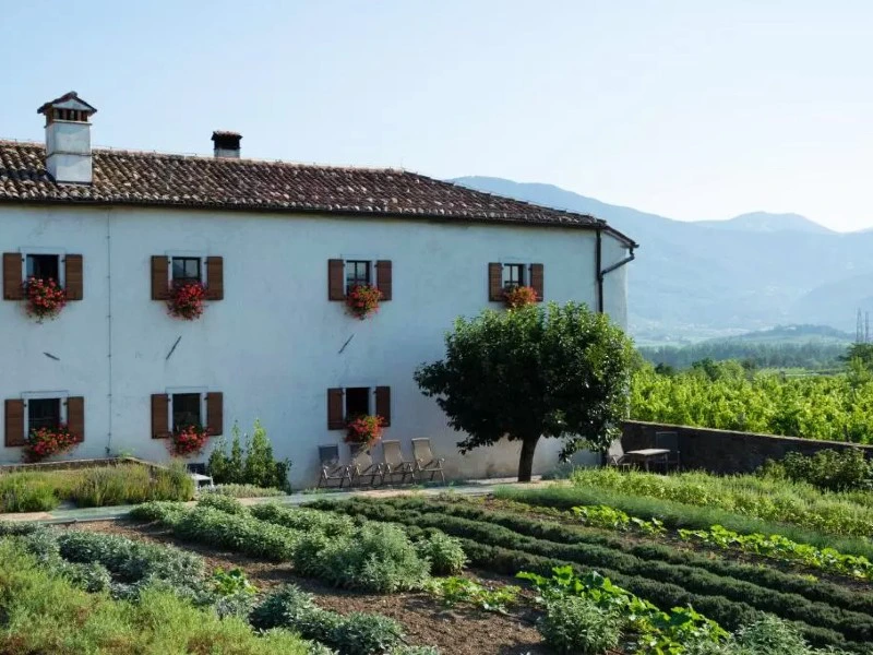 wijnstreek slovenië