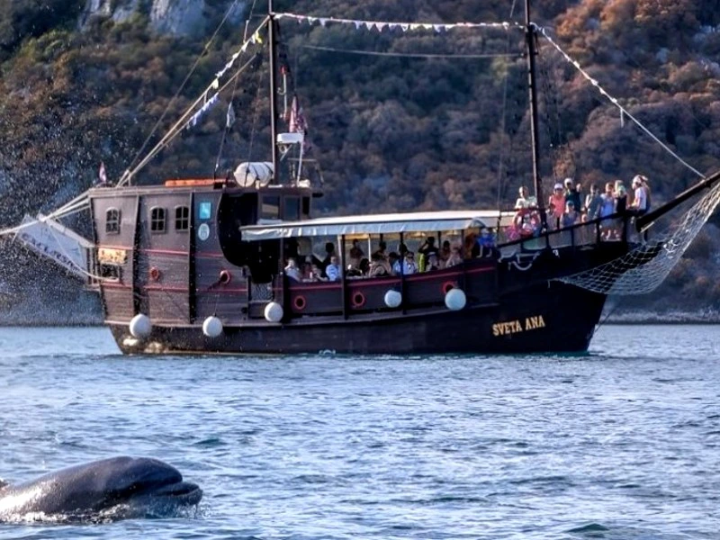 Istrië | Riksja Kroatië