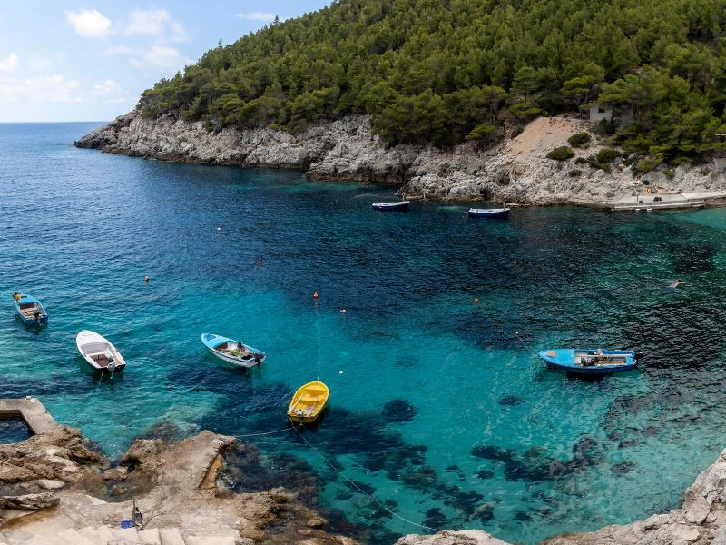 Mljet | Riksja Travel Kroatië