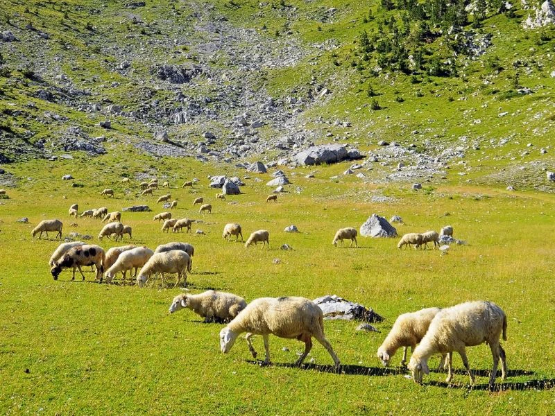 Prokletije Montenegro