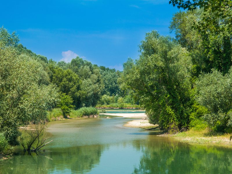 Croatia Drava river